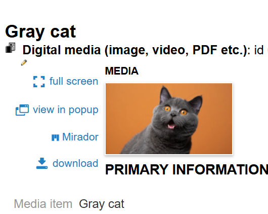 embedded-image-4naydyxr.png