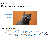 embedded-image-dh4l4mlr.png