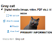embedded-image-kss0spuz.png